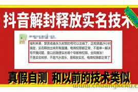（16856期）12月抖音解封释放实名技术，真假自测 和以前的技术类似