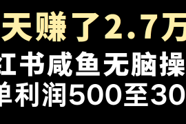 全网首发，7天赚了2.6万，2025利润超级高！