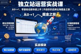 独立站运营实战课，​从0到1，零基础也能快速上手，开启你的品牌出海掘金之旅