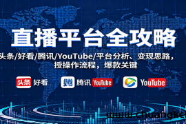 直播平台全攻略：头条/好看/腾讯/YouTube/平台分析、变现思路，授操作流程，爆款关键