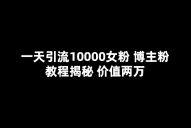 （5647期）一天引流10000女粉，博主粉教程揭秘（价值两万）