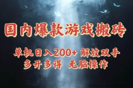 （14659期）国内爆款游戏搬砖，单机日入200+，长期稳定，多开多得，无脑操作