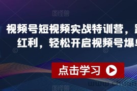 视频号短视频实战特训营，踩准风口红利，轻松开启视频号爆单之路