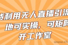 不卖货利用无人直播引流视频教程，地可实操，可矩阵，可开工作室【揭秘】