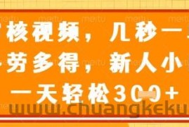 视频审核员，几秒一单，不限时间，不限地点，多做多得，新人小白一天轻松几张+【揭秘】