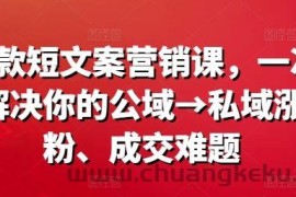 爆款短文案营销课，一次解决你的公域→私域涨粉、成交难题