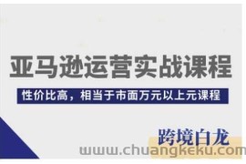 亚马逊运营实战课程，亚马逊从入门到精通，性价比高，相当于市面万元以上元课程