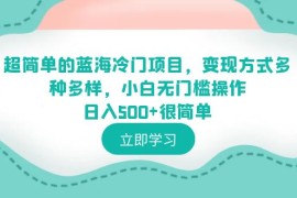 （6422期）超简单的蓝海冷门项目，变现方式多种多样，小白无门槛操作日入500+很简单