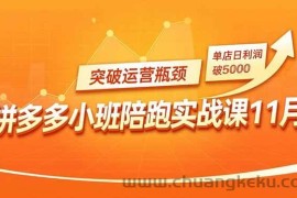 （16654期）拼多多小班陪跑实战课11月，强付费矩阵、原价活动、暗券引流，突破运营瓶颈，单店日利润破5000