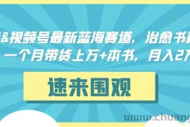 抖音&amp;视频号最新蓝海赛道，治愈书籍带货，一个月带货上万+本书，月入2万＋【揭秘】