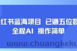 小红书蓝海项目，全程AI，操作简单，已挣五位数