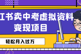 （6531期）小红书卖中考虚拟资料变现分享课：轻松月入过万（视频+配套资料）