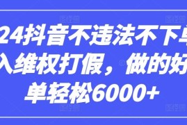 2024抖音不违法不下单0投入维权打假，做的好一单轻松6000+【仅揭秘】