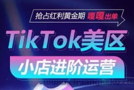 TikTok Shop美区小店进阶运营，抢占红利黄金期 嘎嘎出单