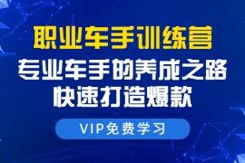 （1485期）职业车手训练营：专业车手的养成之路，快速打造爆款（8节-无水印直播课）