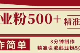 （13073期）3分钟制作精准引流创业粉500+操作简单