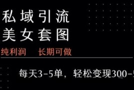 私域卖套图每天3-5单   每单利润99-2张+