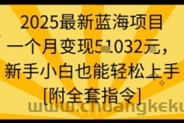 2025最新蓝海项目一个月变现1w+新手小白也能轻松上手【附全套指令】