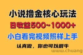 （11461期）小说撸金核心玩法，日收益500-1000+，小白看完照样上手，0成本有手就行