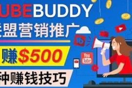 推广TubeBuddy联盟营销项目，完全免费的推广方法，轻松月赚500美元