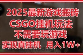 2025最新游戏搬砖，CSGO挂G，不需要玩游戏，实现真挂G，月入1W+【揭秘】