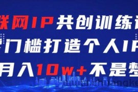 互联网IP共创训练课，零门槛零基础打造个人IP，月入10w+不是梦【揭秘】