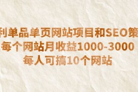 （6503期）暴利单品单页网站项目和SEO策略  每个网站月收益1000-3000  每人可搞10个