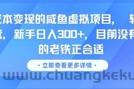 零成本变现的咸鱼虚拟项目， 轻资产运营，新手日入3张+，目前没有项目的老铁正合适