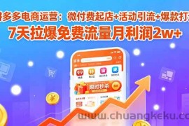 （15960期）拼多多电商运营：微付费起店+活动引流+爆款打造 7天拉爆免费流量月利润2w+