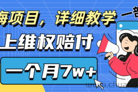 通过线上维权赔付1个月搞了7w+详细教学一部手机操作靠谱副业打破信息差