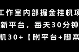 某工作室内部掘金挂G项目，新平台，每天30分钟，单机30+【揭秘】