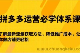 拼多多运营必学体系课-了解最新流量获取方法，降低推广成本，让你做店铺更轻松