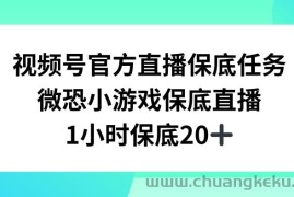 视频号直播任务，微恐小游戏，1小时20+【揭秘】