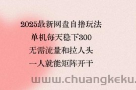 2025最新网盘自撸玩法，单机每天稳下3张，无需流量和拉人头，一个人就可轻松矩阵，全网独一份【揭秘】