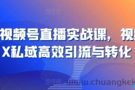 21天视频号直播实战课，视频号X私域高效引流与转化