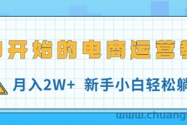 （11081期）从0开始的电商运营教学，月入2W+，新手小白轻松躺赚