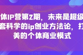 超级个体IP营第2期，未来是超级个体时代，一套科学的ip创业方法论，打造小而美的个体商业模式