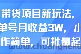 AI带货项目新玩法，实测单号月收益3W，小白操作简单，可批量起号