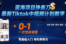 蓝海项目挣美刀，最新Tiktok中视频计划教学，从0-1教你学会海外TK中视频，一次性讲清楚