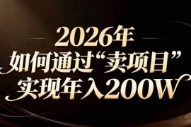 （17309期）站在2026年的十字路口：一个普通人如何通过卖项目实现年入200万