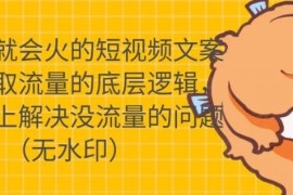 （1722期）只说话就会火的短视频文案课，从根本上解决没流量的问题【无水印】