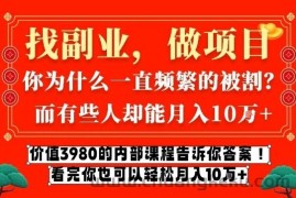 价值3980的网创内部课程，告诉你互联网创业月入10个W的秘密【揭秘】