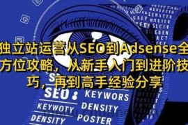 独立站运营从SEO到Adsense全方位攻略，从新手入门到进阶技巧，再到高手经验分享