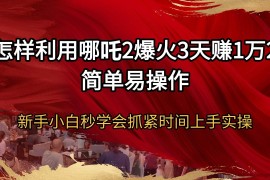 （14245期）怎样利用哪吒2爆火3天赚1万2简单易操作新手小白秒学会抓紧时间上手实操