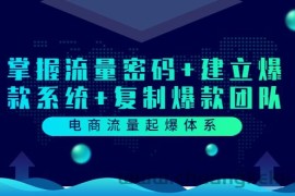 （3382期）电商流量起爆体系：掌握流量密码+建立爆款系统+复制爆款团队