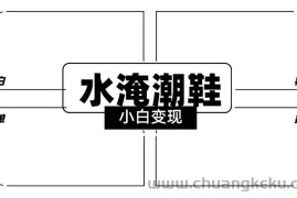 2024全新冷门水淹潮鞋无人直播玩法，小白也能轻松上手，打爆私域流量，轻松实现变现【揭秘】