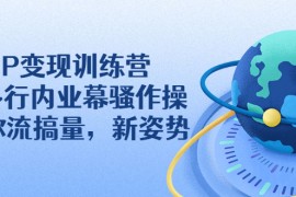 （2263期）IP变现训练营：N多行内业幕骚作操，教你流搞量，新姿势！