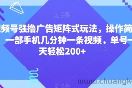 视频号强撸广告矩阵式玩法，操作简单，一部手机几分钟一条视频，单号一天轻松200+【揭秘】