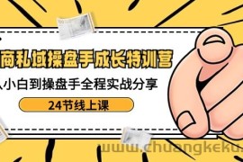 电商私域操盘手成长特训营：从小白到操盘手全程实战分享-24节线上课