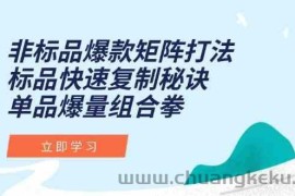 非标品爆款矩阵打法，标品快速复制秘诀，单品爆量组合拳